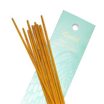 Preview: Yogi & Yogini