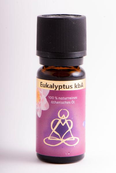Eukalyptusöl bio – 100 % naturreines ätherisches Öl