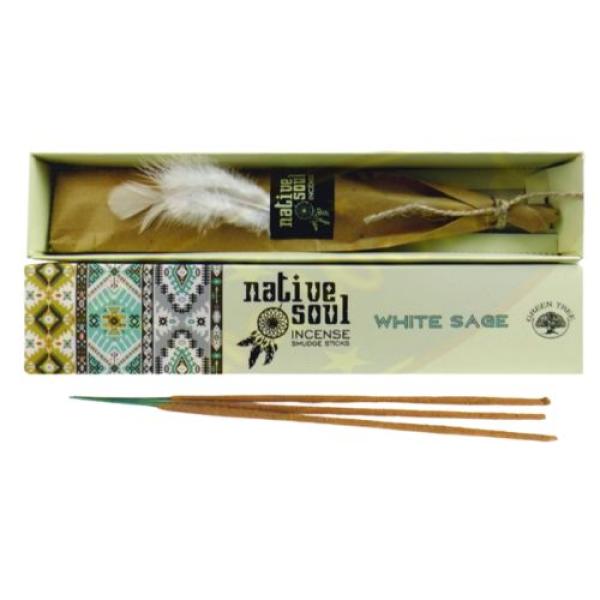 Detailaufnahme der natürlichen White Sage Räucherstäbchen Detailaufnahme der natürlichen White Sage Räucherstäbchen